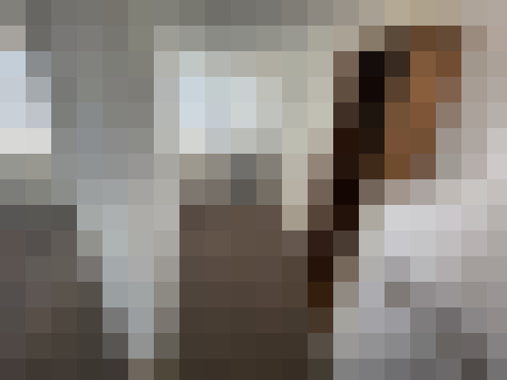 Image 20
