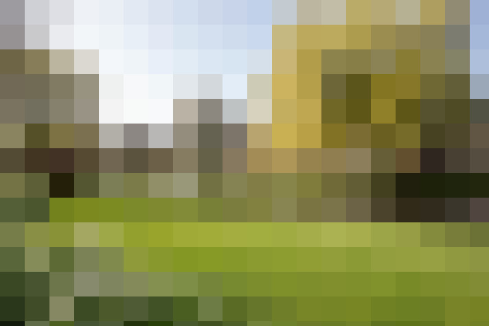 Image 17