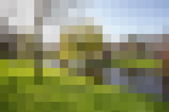 Image 16