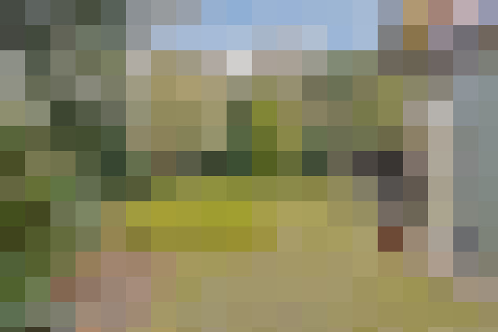 Image 14