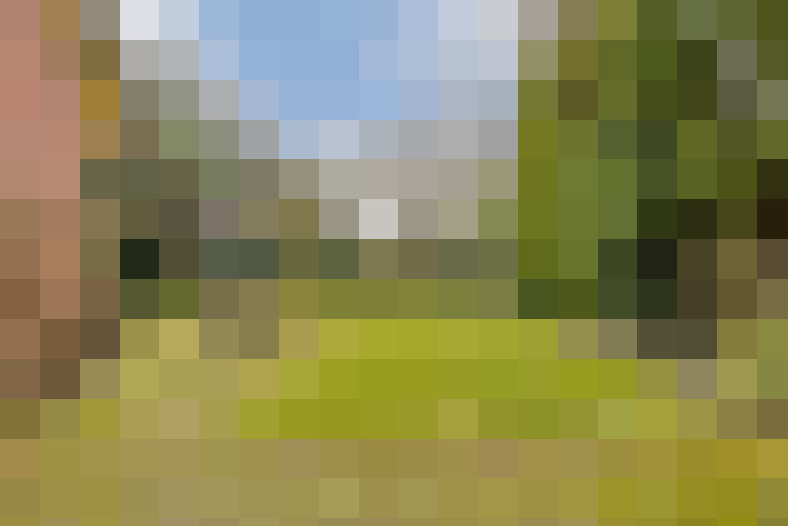 Image 13