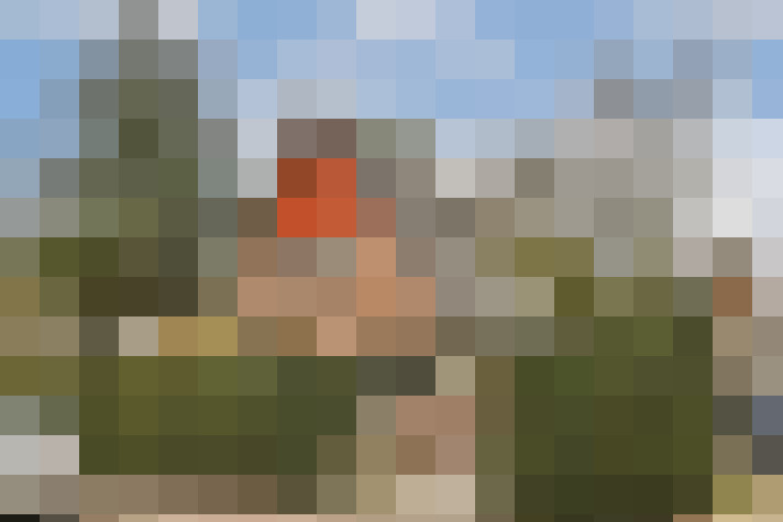 Image 28