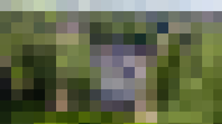 Image 34