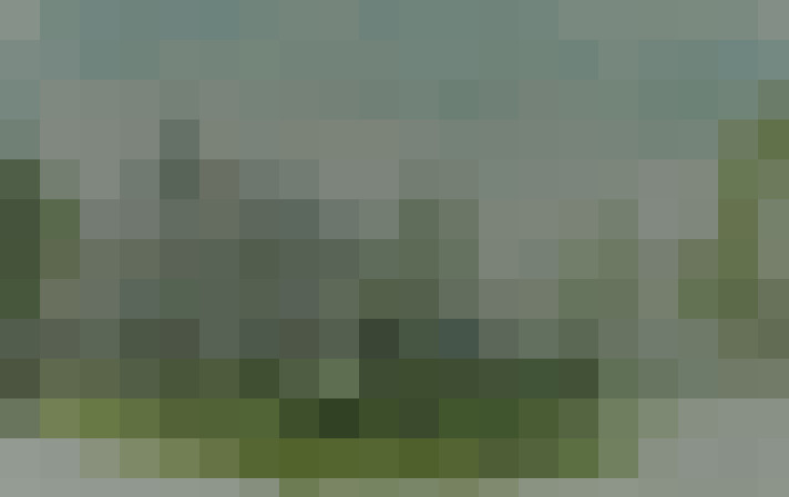 Image 41