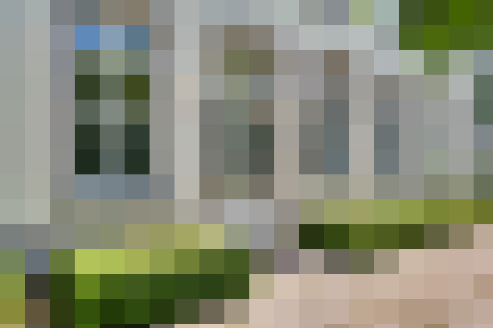 Image 13