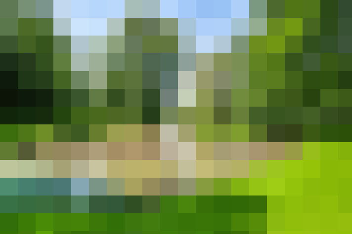 Image 38