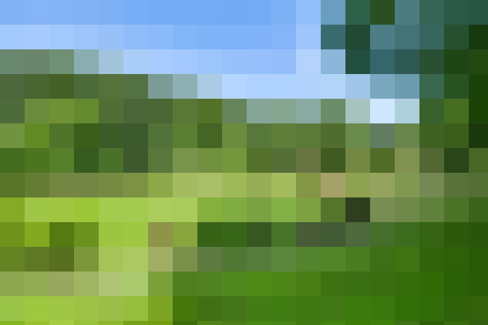 Image 37