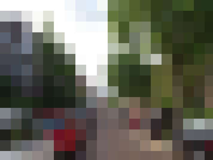 Image 29