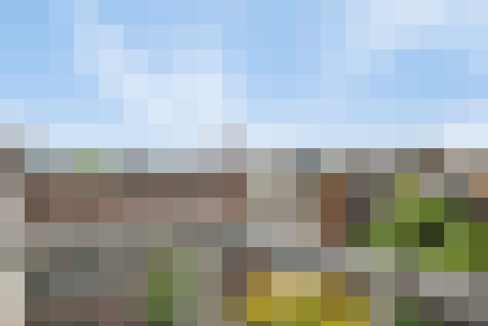 Image 14
