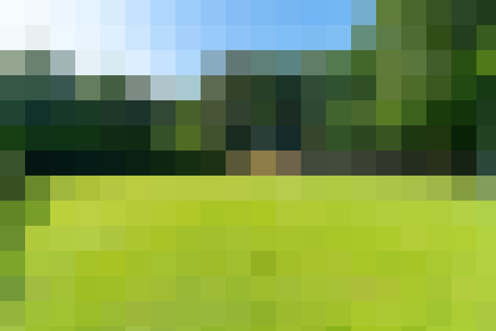Image 43