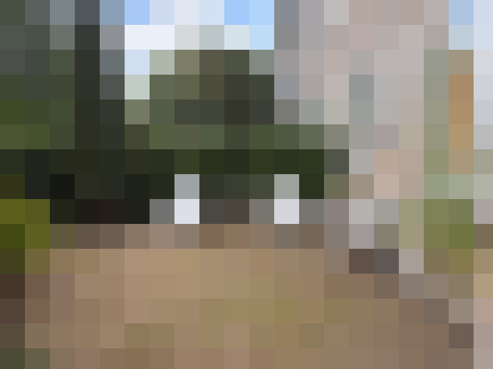Image 18