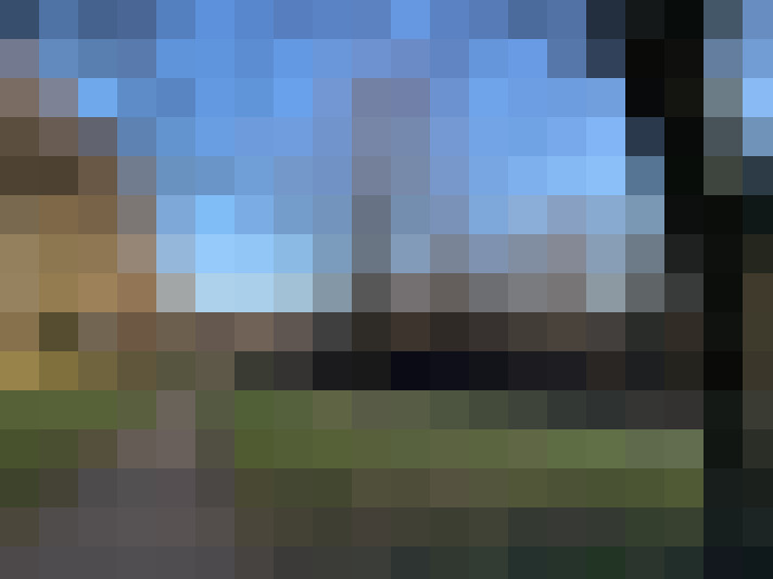 Image 20