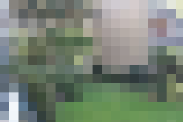 Image 13