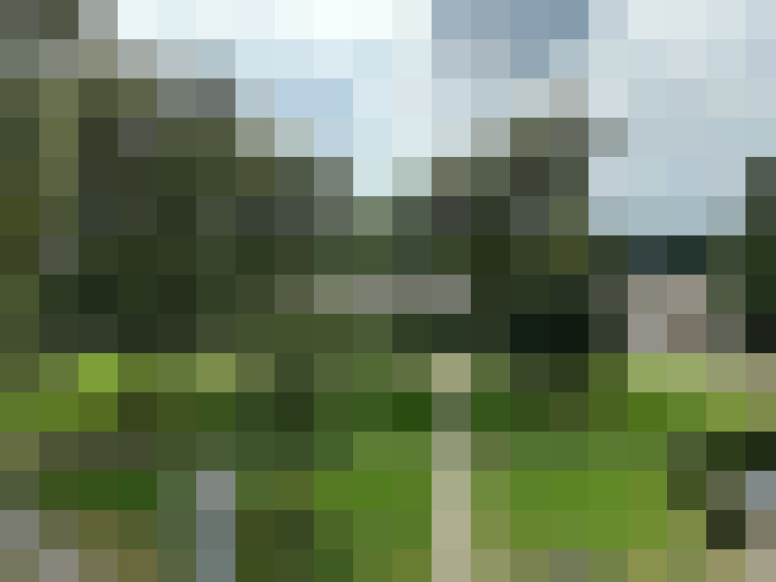 Image 20
