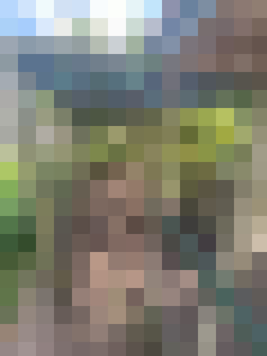 Image 35