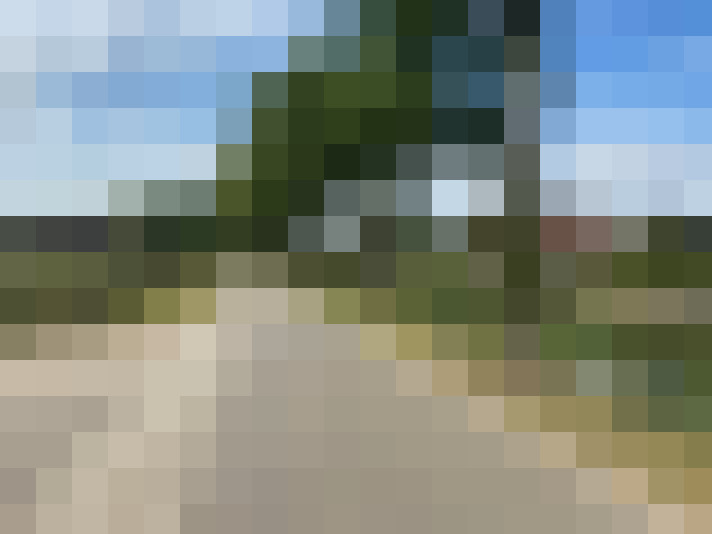 Image 33