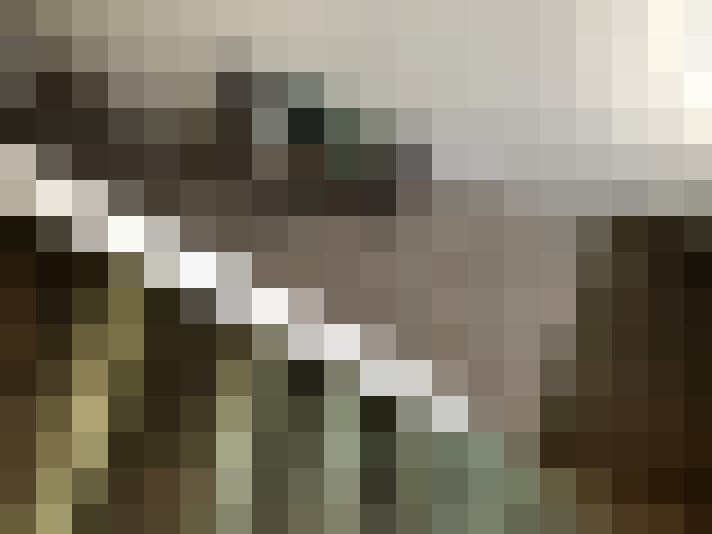 Image 13