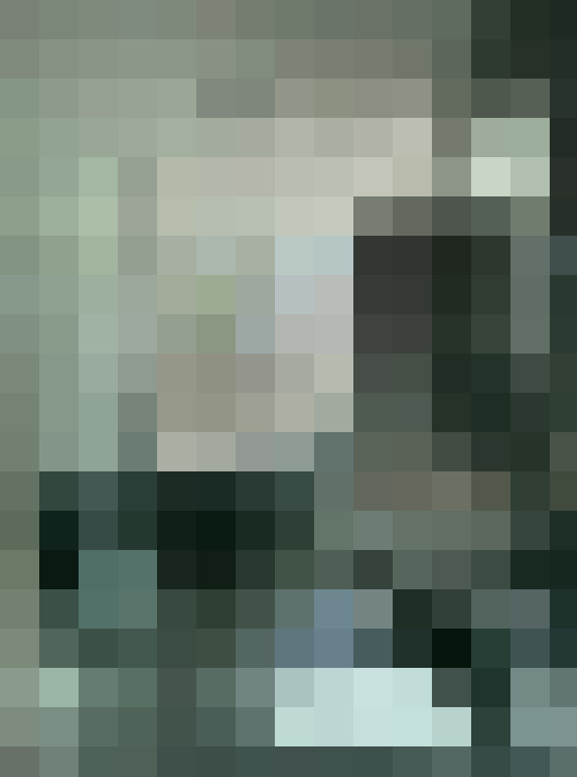 Image 25
