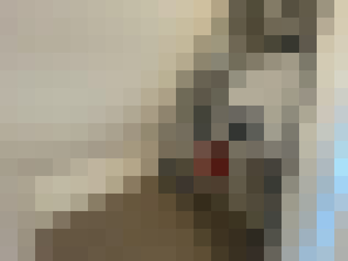 Image 22