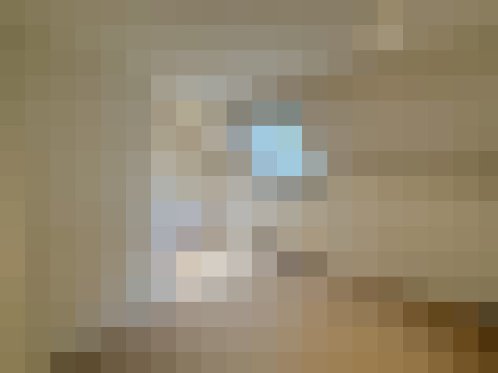 Image 22