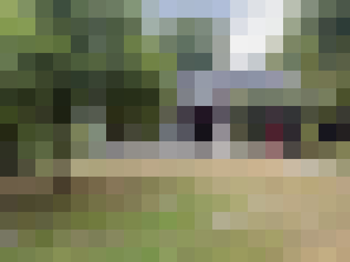 Image 28