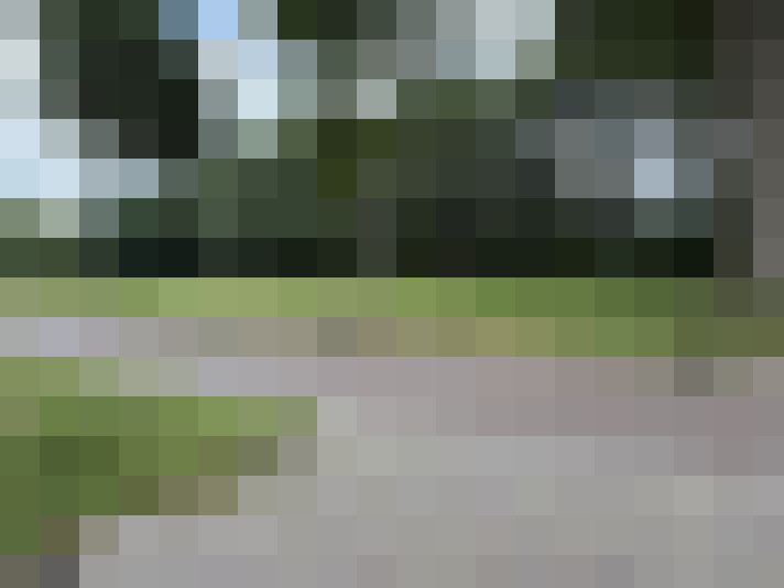 Image 25