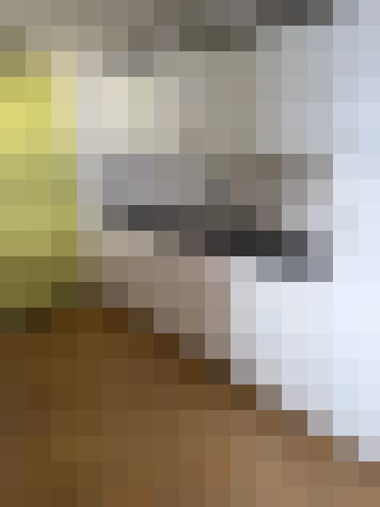  / #12