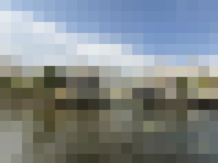 Image 25