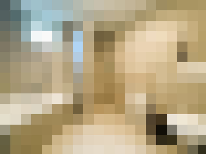 Image 29