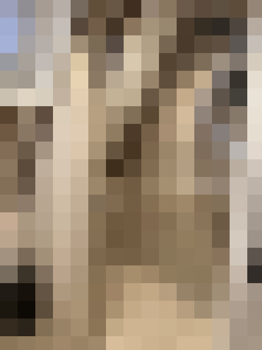  / #19