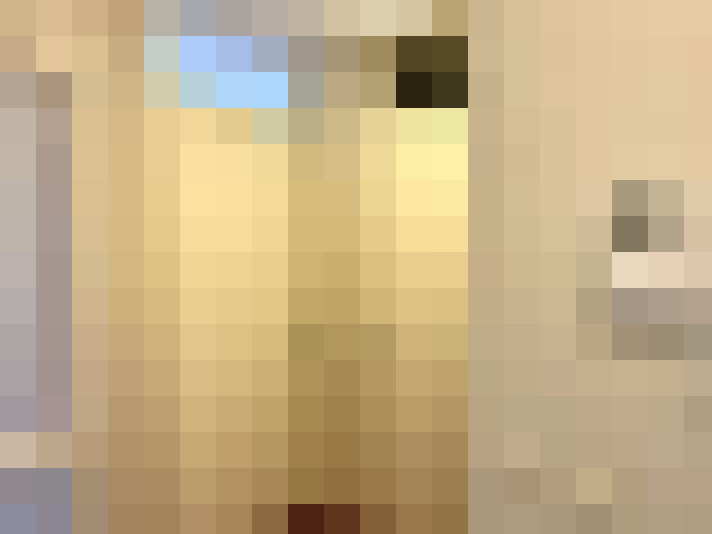 Image 17
