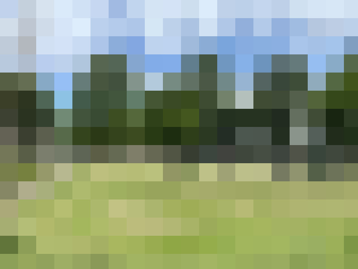 Image 33