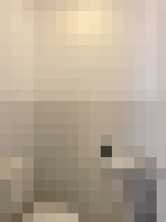 Image 29