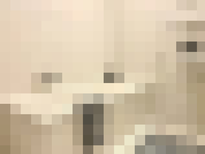 Image 25