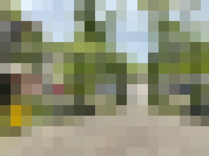 Image 35