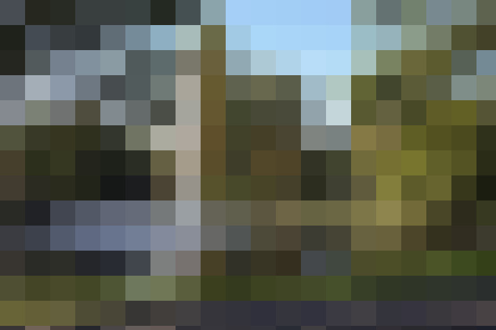 Image 20