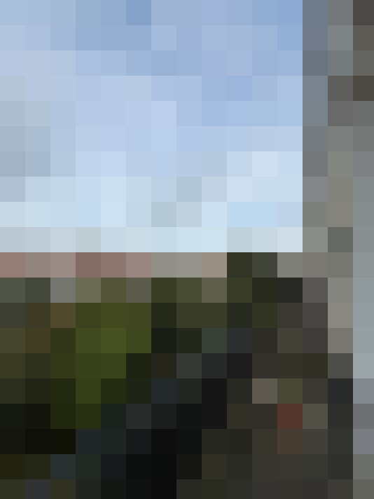 Image 21