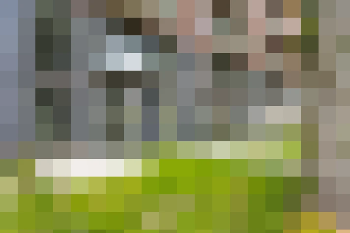 Image 26