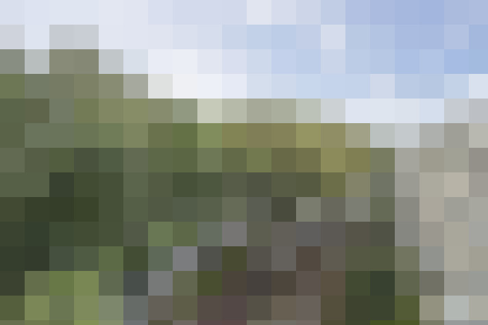 Image 14