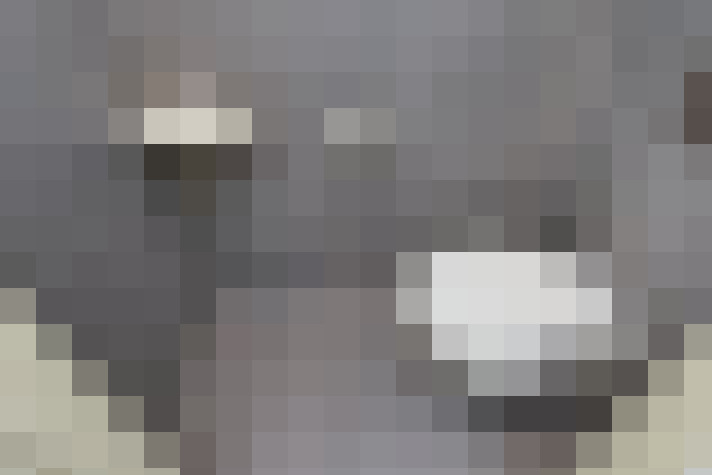 Image 33