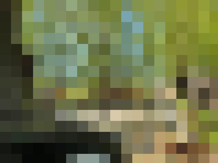 Image 14