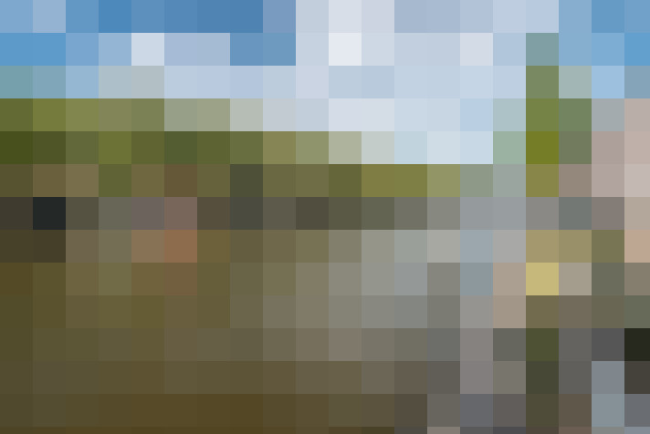 Image 24