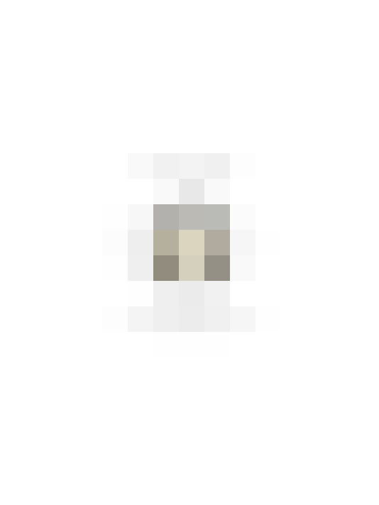 Image 29