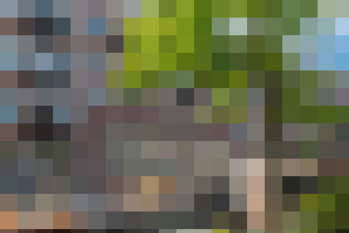 Image 25