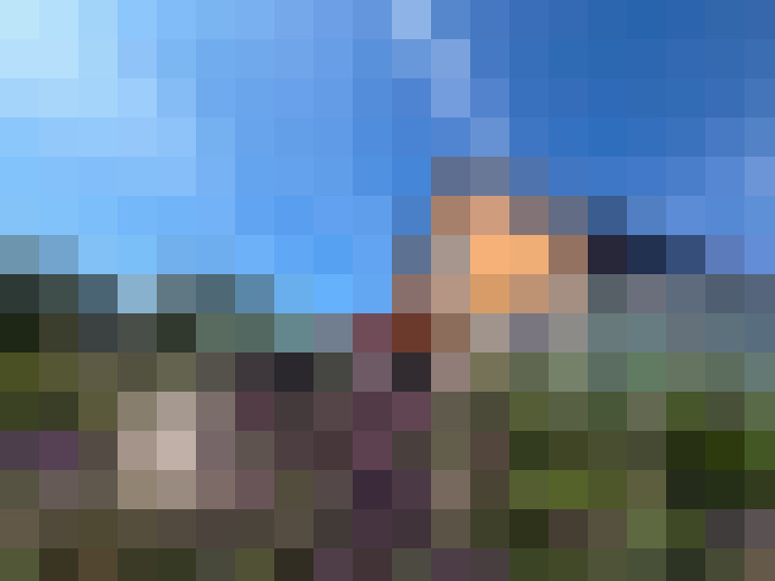 Image 29