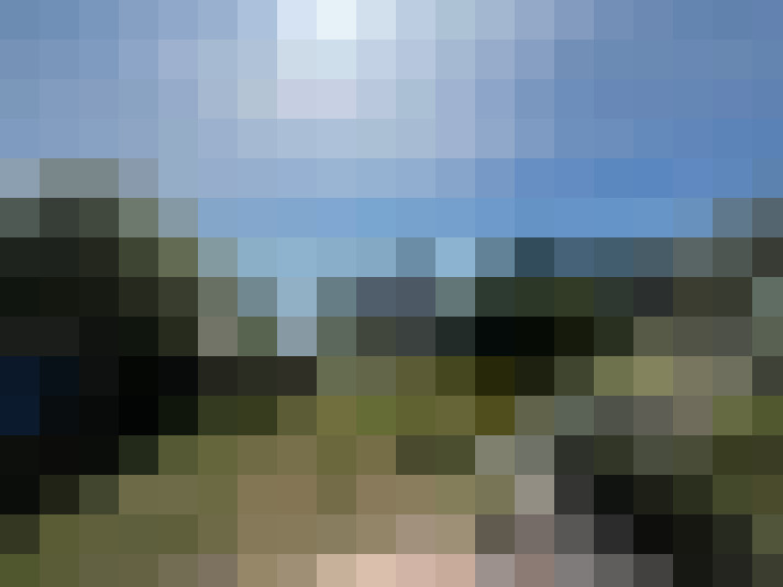 Image 17
