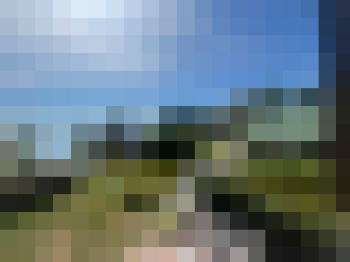 Image 32