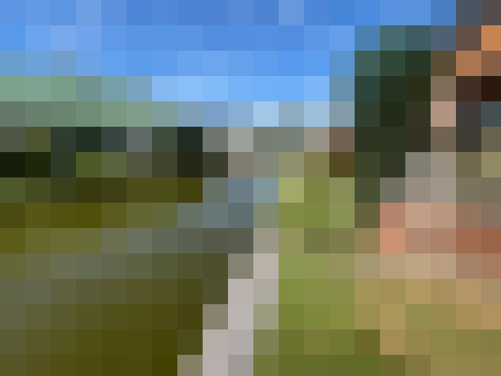Image 31