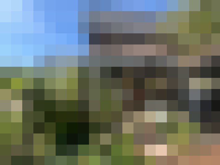 Image 30