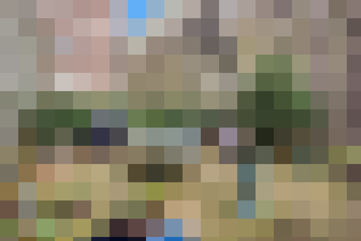 Image 33